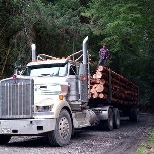 Meet your Posher, Jeff